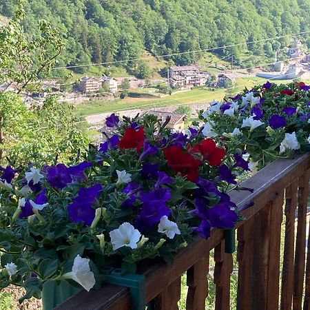 B&B Maison Vallomy Lillianes Εξωτερικό φωτογραφία