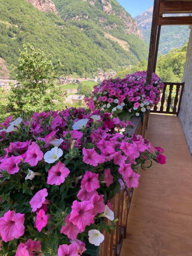 B&B Maison Vallomy Lillianes Εξωτερικό φωτογραφία