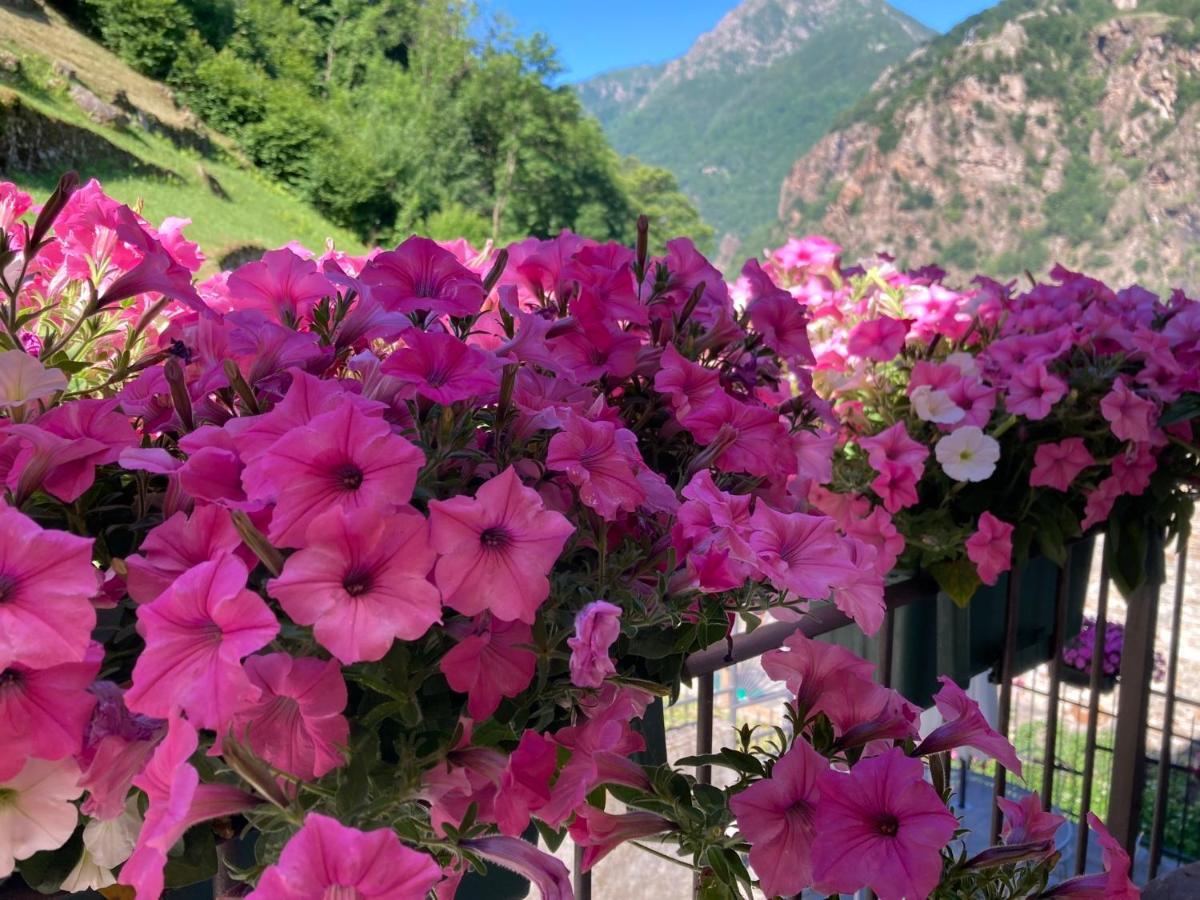 B&B Maison Vallomy Lillianes Εξωτερικό φωτογραφία