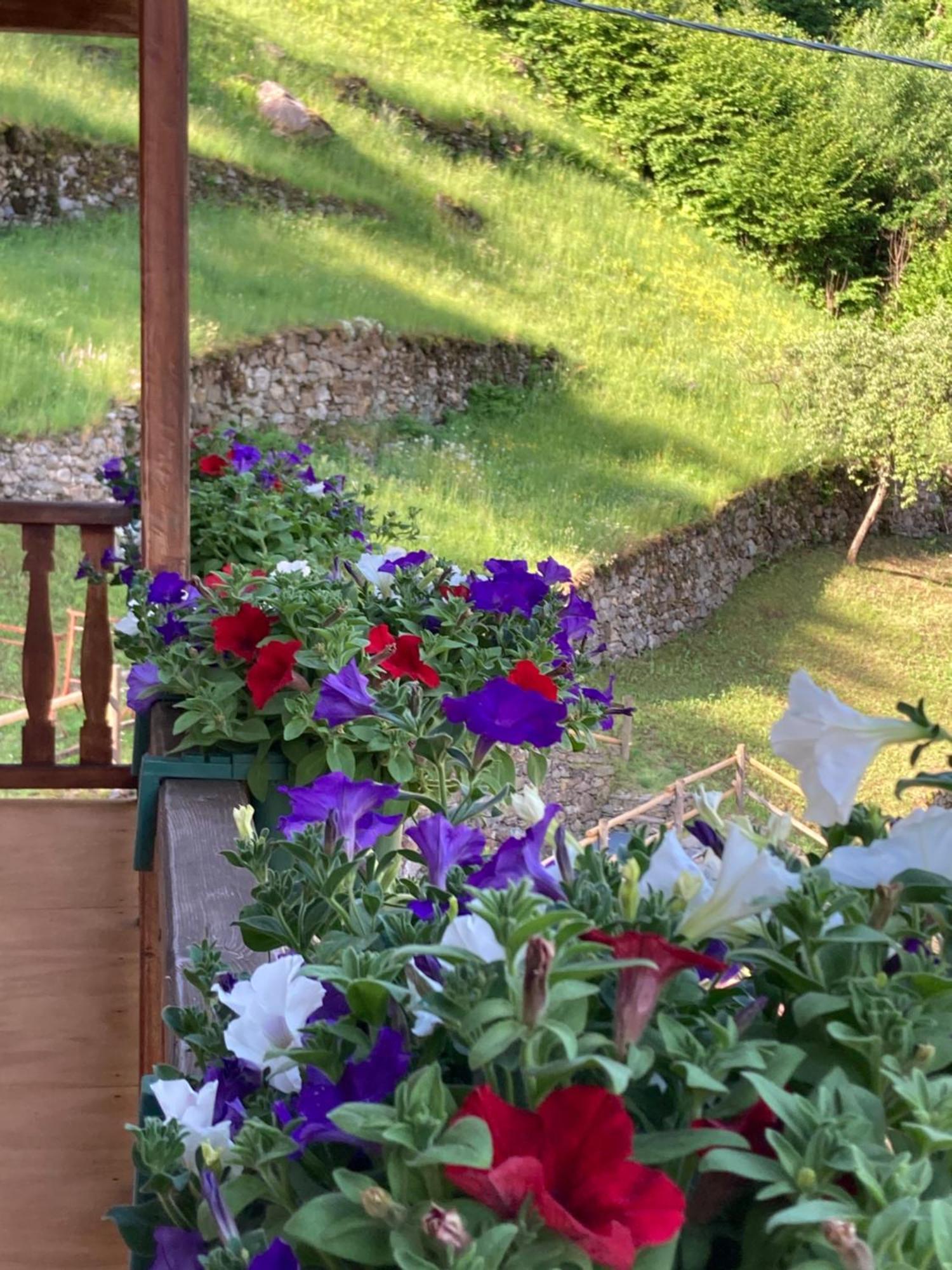 B&B Maison Vallomy Lillianes Εξωτερικό φωτογραφία