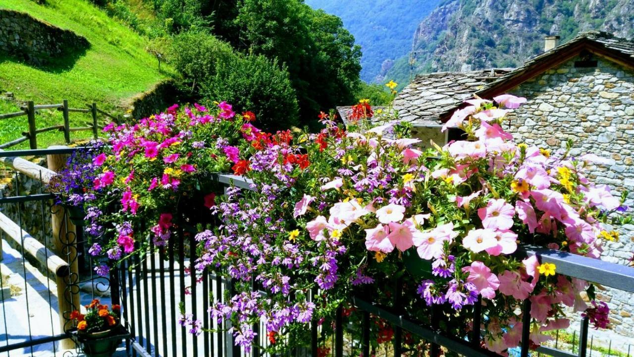 B&B Maison Vallomy Lillianes Εξωτερικό φωτογραφία